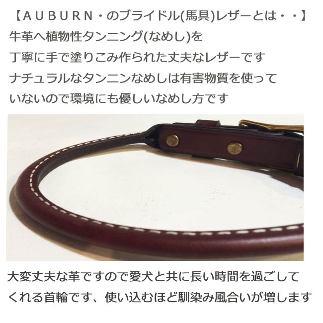 USA製【AUBURN】《丸革チェーン・ハーフチョークカラー》 丸革