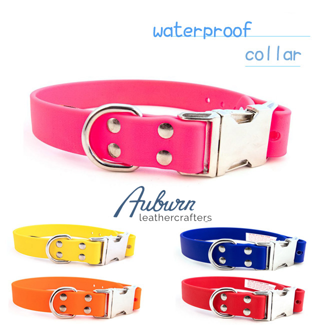 AUBURN ウォータープルーフ首輪 アメリカ製 完全防水 犬用品 大型犬 防水首輪