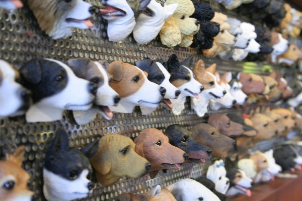 ドッグヘッドマグネット ウェルシュコーギー・ペンブローク|犬用品・犬グッズの通販なら【ドッグプラネット】 コーギー マグネット