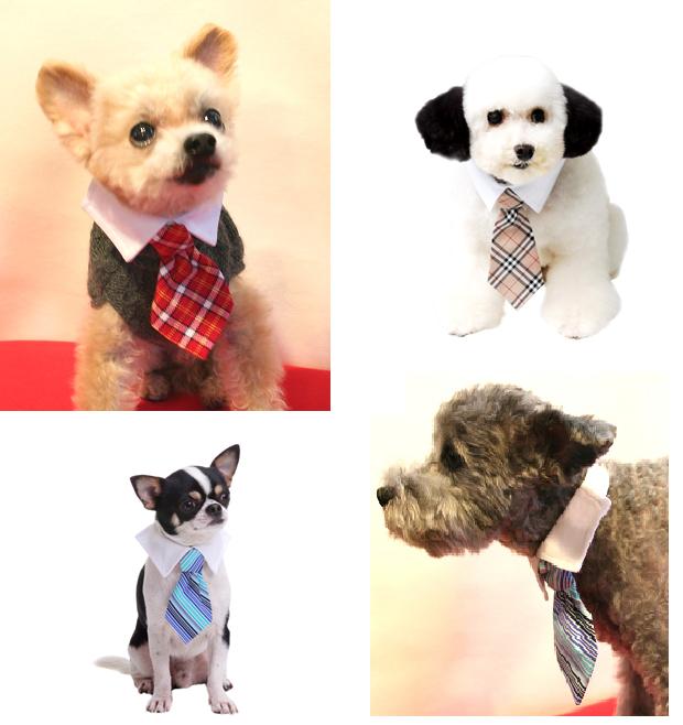 ドッグウェア,犬服,アクセサリー,小物,ネクタイ,犬,ドッグ,チワワ,トイプードル,