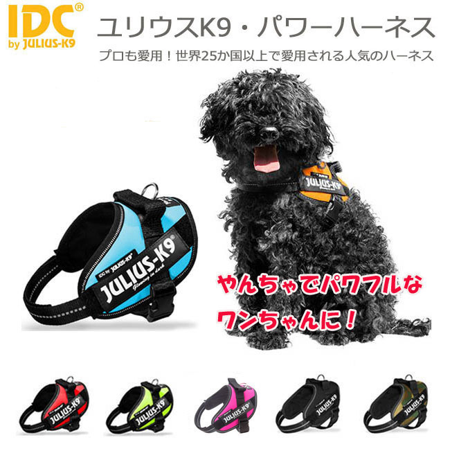 犬 首輪 コンフォートフレックス リミテッドスリップカラー ネオンピンク ComfortFlex Limited Slip Collar （小型犬 中型犬 大型犬用)ハーフチョーク