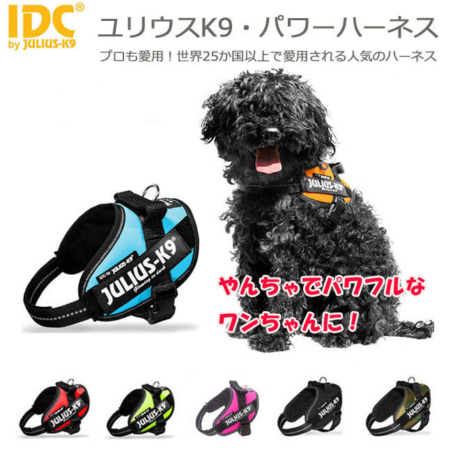 ネコポス発送で送料無料☆JULIUS K9・ユリウスK9　IDCパワーハーネス　baby～Miniサイズ犬用品 胴輪・ハーネス