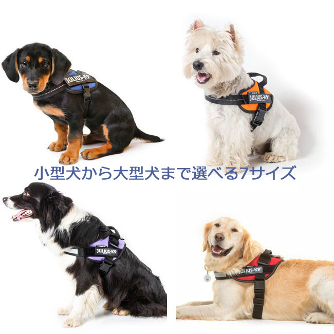 送料無料☆JULIUS K9・ユリウスK9　IDCパワーハーネス　サイズ0～サイズ3　犬用品 胴輪・ハーネス