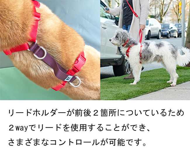 ベビーグッズも大集合 EXPAWLORER 小型犬用 ハーネス 首輪 リード Sサイズ ベージュ